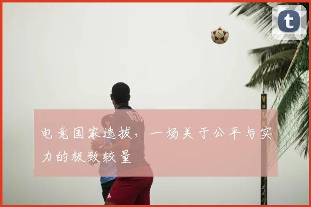 电竞国家选拔,一场关于公平与实力的极致较量