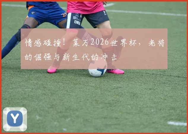 情感碰撞！莱万2026世界杯，老将的倔强与新生代的冲击